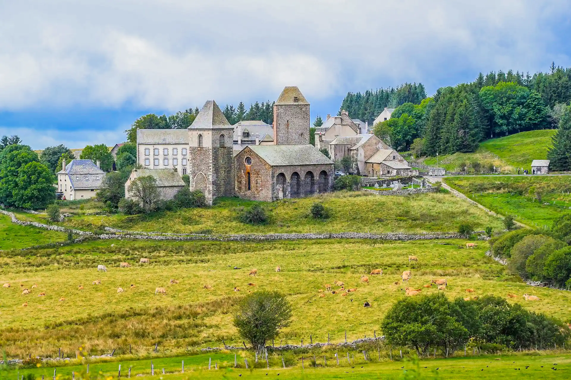 Domerie d'aubrac op het platteland