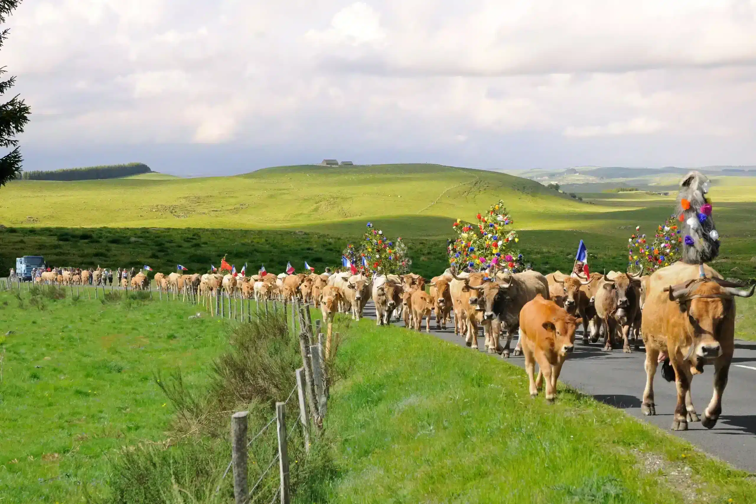 Fête de la transhumance à Aubrac