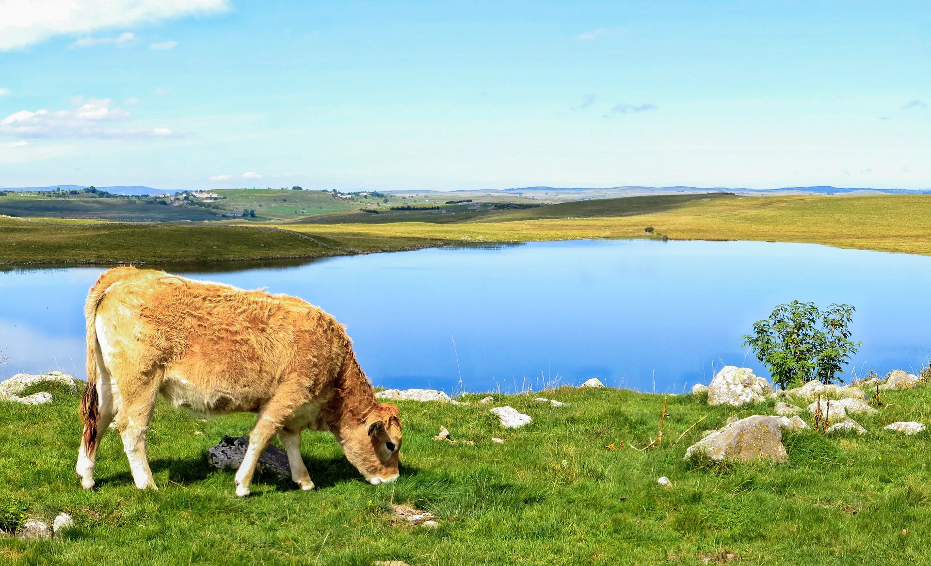 Aubrac lake in Aveyron