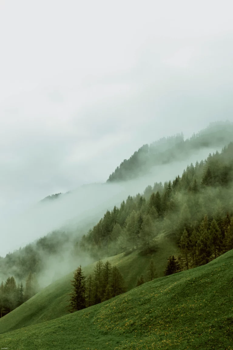 Paysage en Aveyron