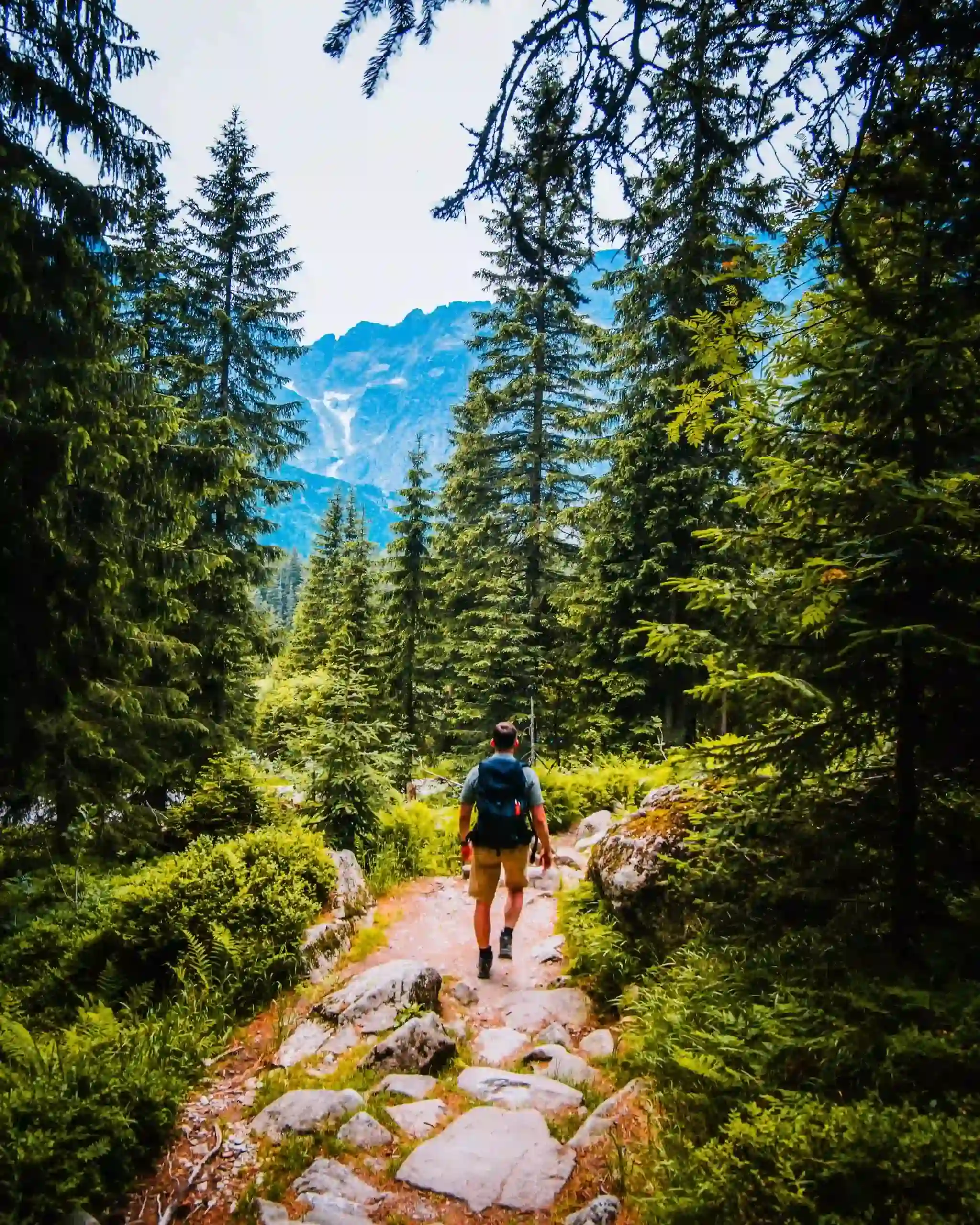 The best walks in Aveyron