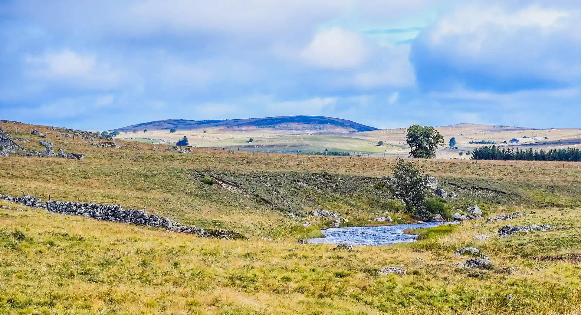 Bezienswaardigheden die u niet mag missen in Aubrac