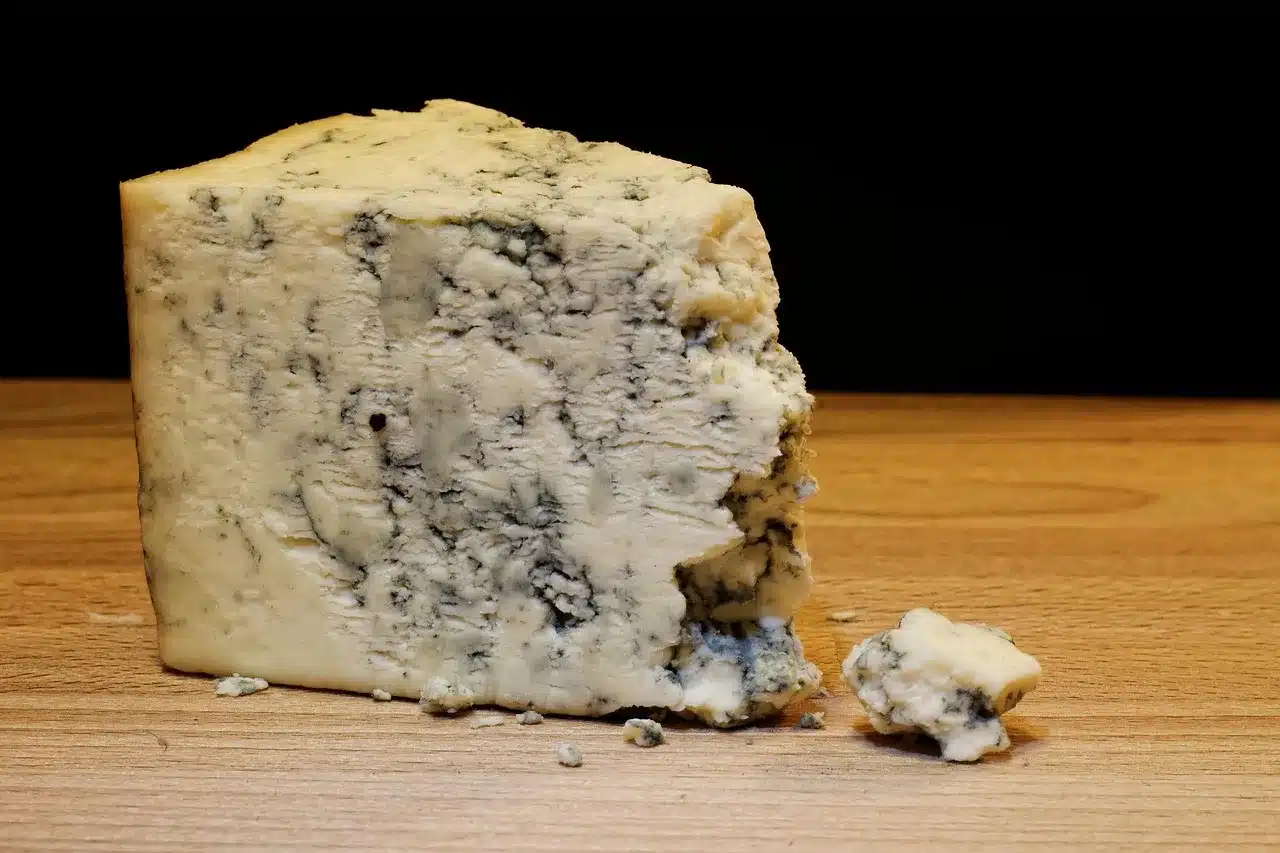 Découvrez les fromages de l’Aveyron