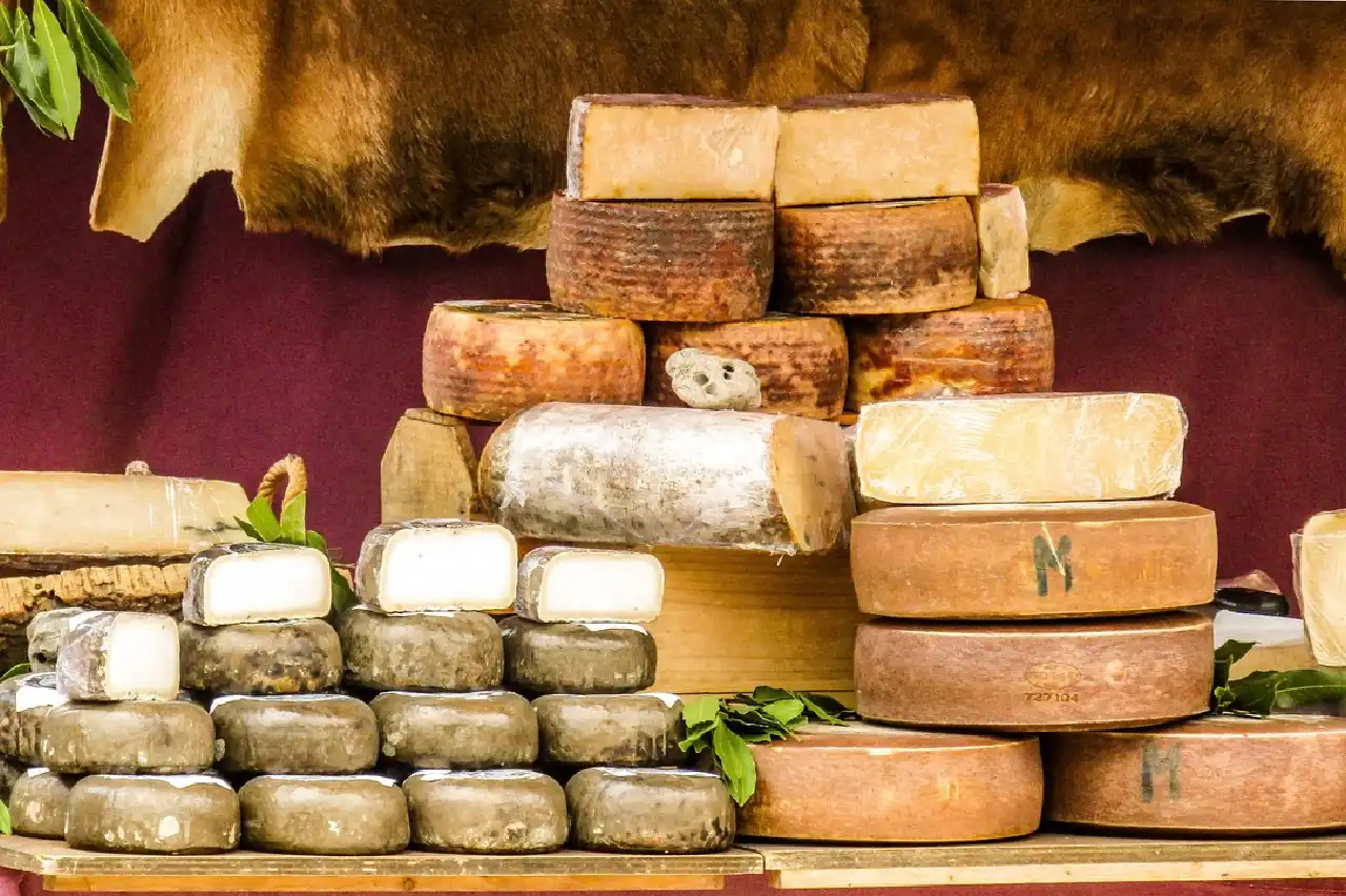 Les fromages de l’Aveyron (1)