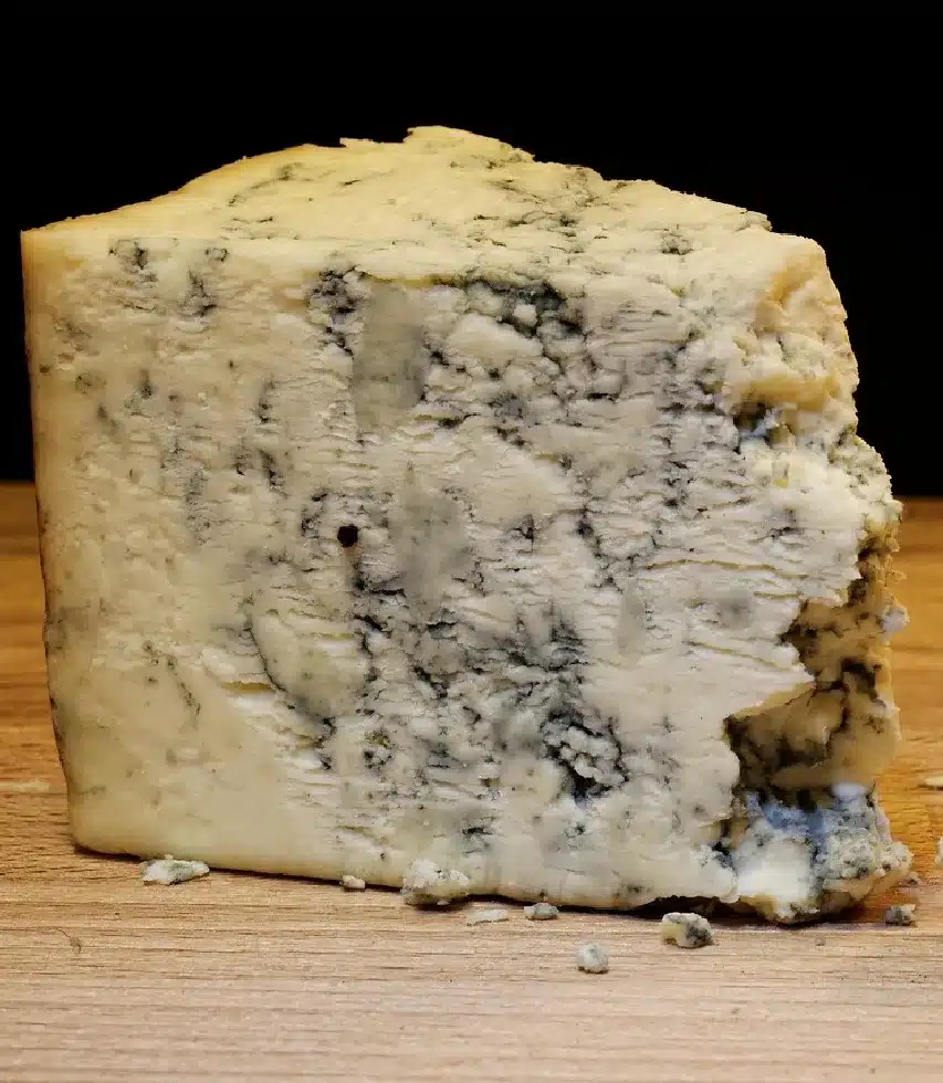 fromages de l’Aveyron