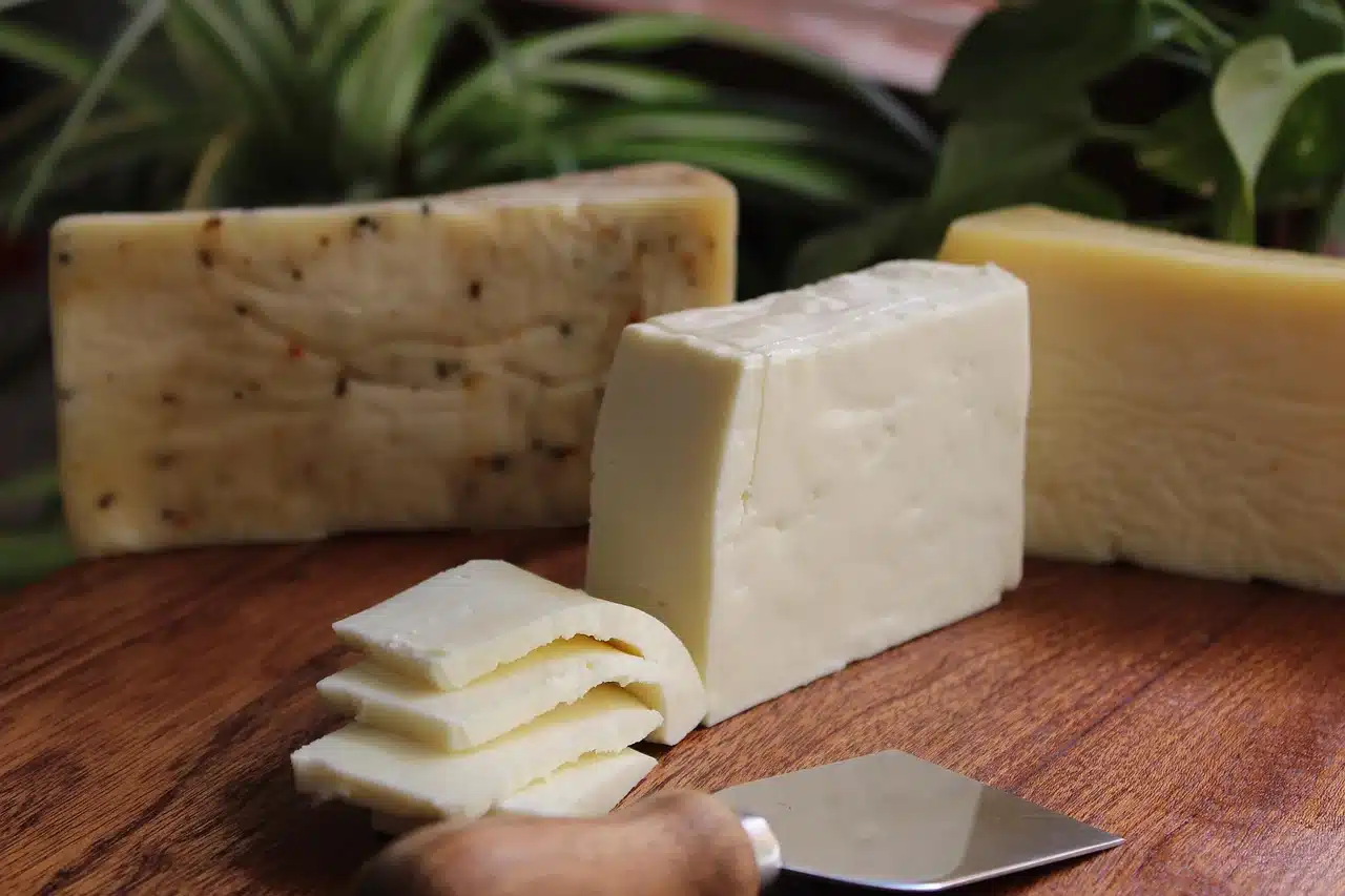 les fromages de l’aveyron